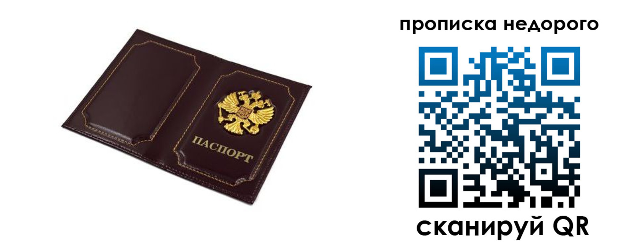 пропишу в квартире в Тольятти